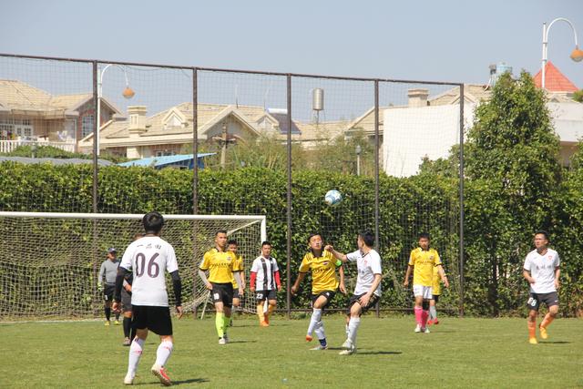 南基一下课 河南队迎来新生？葡籍新帅火速到位